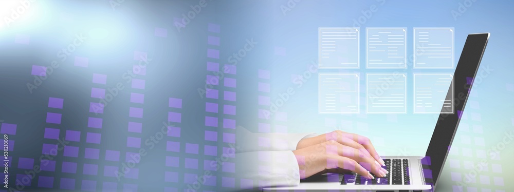 Aufkleber document management system consultant working on laptop computer in office