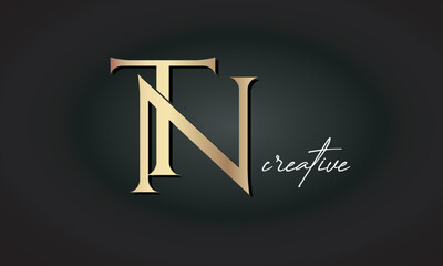 TN letters luxury jewellery fashion brand monogram, creative premium stylish golden logo icon