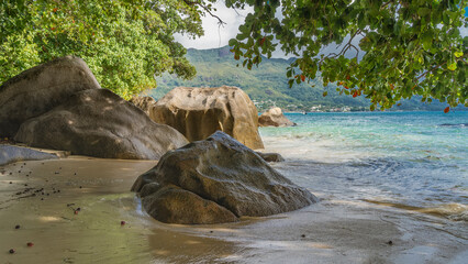 Picturesque granite boulders are washed by the waves of the surf. Fallen tropical fruits on the wet sand.Turquoise ocean and a hill in the distance. Green tree branches hang over the beach. Seychelles