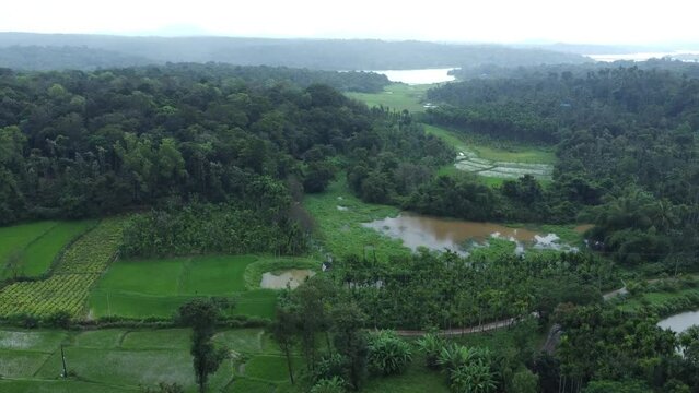 Sakleshpur, India 11th September 2022: 4k Drone shots of Sakleshpur amidst drizzling rains. Sakleshpura or Sakleshapura is a hill station town in Hassan district. Famous for spices plantations. 