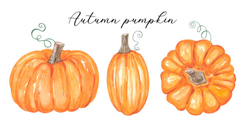 Watercolor pumpkin. Autumn illustration. High quality photo