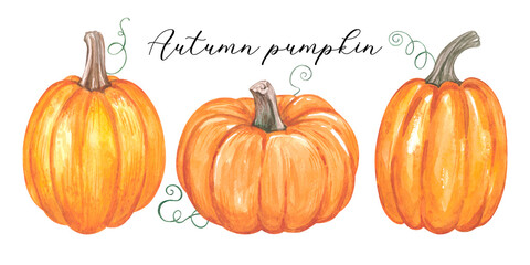 Watercolor pumpkin. Autumn illustration. High quality photo
