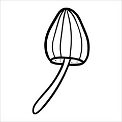 Poisonous mushrooms , toadstool, inedible toxic mushroom, fly agaric, white toadstool. Isolated hand drawn doodle illustration on a white background. Potion ingredient, Magic, Halloween