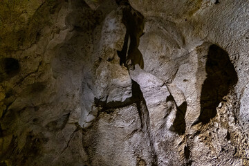 The cave  in which the caveman lived in the national reserve - Nahal Mearot Nature Preserve, near...