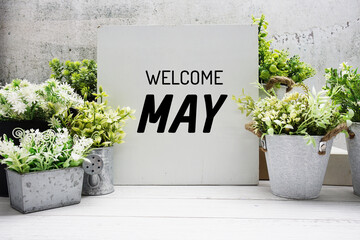 Welcome May text message with artificial plant decoration on wooden background