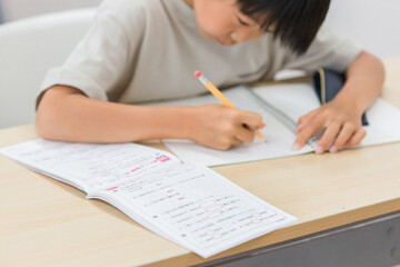 Fototapeta 算数の勉強をする小学生（日本人）
 obraz