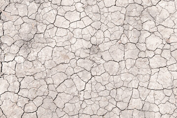 Surface of a grungy dry cracking parched earth for textural background. - Powered by Adobe
