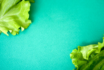 Lettuce leaf on green background with space for text.