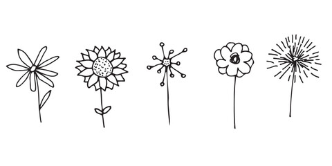 Obraz premium Doodle hand drawn vector flowres