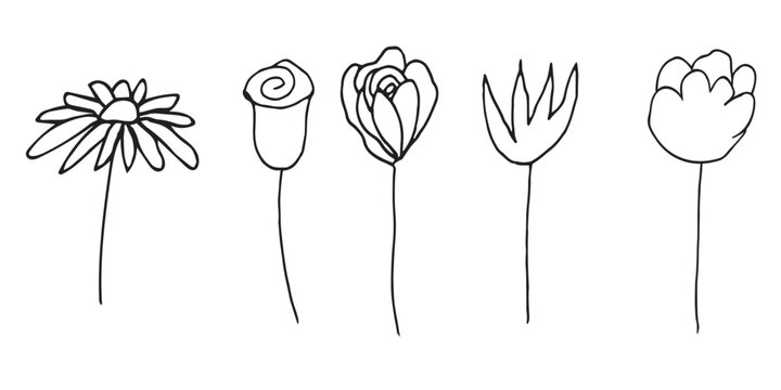 Doodle hand drawn vector flowres