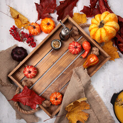 Wooden tray with pumpkins and autumn leaves. Autumn menu in the restaurant. The concept of still life.Square photo.Rustic. Flat lay.Top view.Copy space.