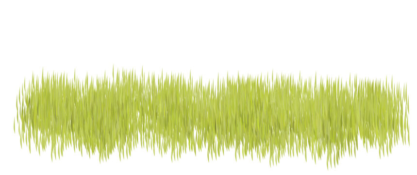Isolated ricefield vector asset illustration, green foliage vector illustration. Perfect for background element, nature background element, design or game asset.