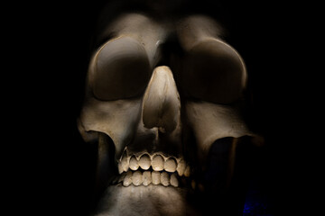 Obraz premium The human skull is frighteningly illuminated on a black background