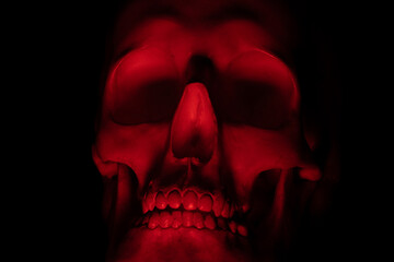 The human skull is illuminated by red light, which gives it a frightening effect