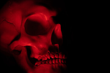 The human skull is illuminated by red light, which gives it a frightening effect