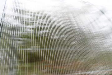 Translucent polycarbonate sheets on the greenhouse in summer are sheltered from the cold