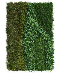 3d rendering of vertical garden isolated