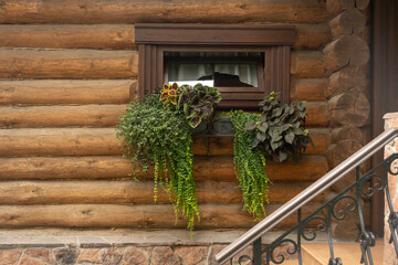 Fototapeta na wymiar Beautifully decorated window in a wooden house. A small window is decorated on the outside with a small flower bed. Box with elegant flowers