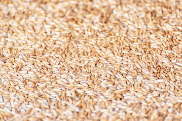 Stuffed Oats and Rice