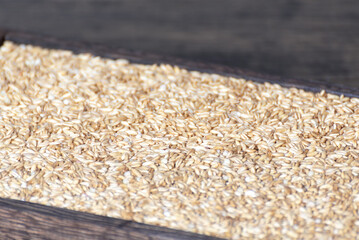 Stuffed Oats and Rice