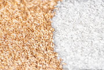 Stuffed Oats and Rice