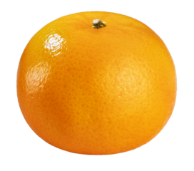 Orange fruit with orange slices on white background Cara Cara Orange, tangerine isolated on white PNG file.