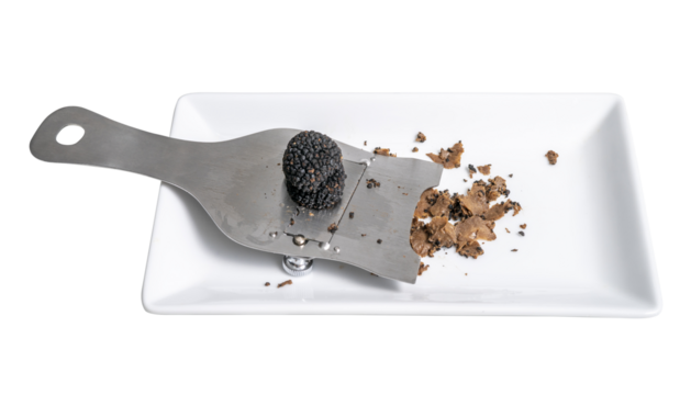 Black truffle and truffle slicer isolated on white background With clipping path, Delicacy exclusive truffle mushroom PNG file.