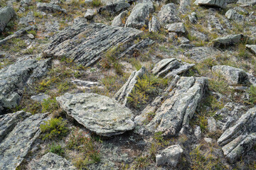 Colorful stones on the bank of Baikal lake. High quality photo