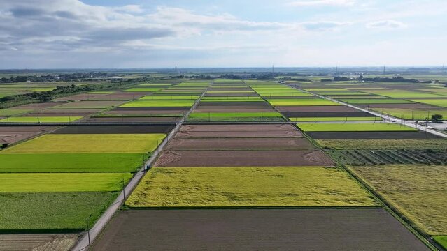 稲の収穫時期を迎えた田畑の空撮風景