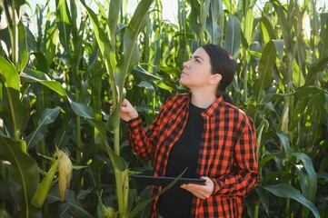 woman farmer in a field of corn cobs