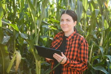 woman farmer in a field of corn cobs