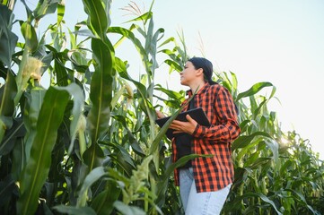 Agronomist farmer woman in corn field. female farm worker analyzing crop development. © Serhii