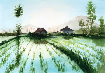 Asian landscape with rice fields. Watercolor on paper.