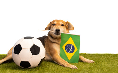 Dog with soccer ball and Brazil flag