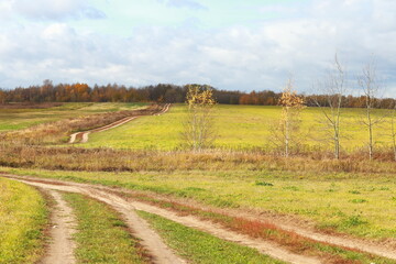 Fototapeta na wymiar Winding country road stretches across the field. Warm sunny day. Autumn landscape with trees at middle distance and forest in the background.