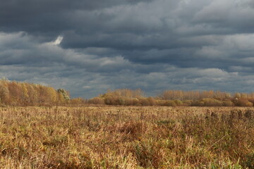 Fototapeta premium View of an autumn field with yellowed grass against a dark cloudy sky. Reverse tonal perspective.