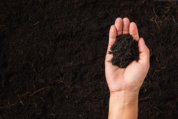 Top view of farmer woman hand holding compost fertile black soil background and copy space, Concept...