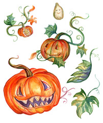 Halloween isolated watercolor illustration set of pumpkin