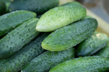 green vegetables cucumbers on the counter at the market