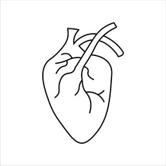 human heart icon vector illustration