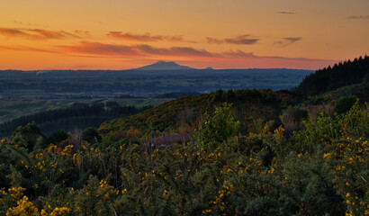 Sunset with Mt. Ruapehu and Mt. Ngaurahoe from the Tararua Range behind Palmerston North, New...