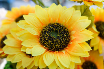 sunflower close up fake flowers