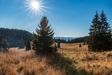 Stredna polana meadow in autumn Chocske vrchy mountains in Slovakia © honza28683