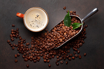 Roasted coffee beans in scoop