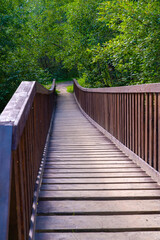 Obraz premium Wooden narrow bridge with high railings across a small river