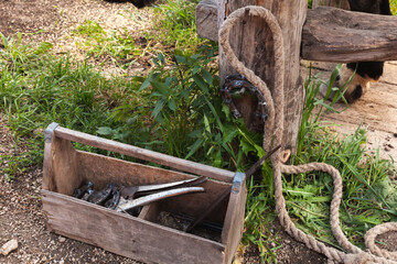 Fototapeta na wymiar Horse shoeing tools are in a wooden toolbox on a farm