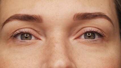 A woman's eyes with long black eyelashes after lamination. Closeup opened girl's eyes  with long...
