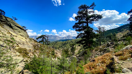 View of stream, trees, boulders and mountains from Cascades de Radule, Corsica, France on the way to Paglia Orba.