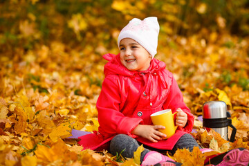 adorable little girl with autumn leaves in the beauty park.