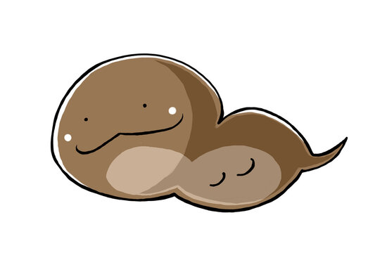 つちのこ